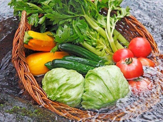凈菜加工設備火熱原來是新版農殘標準涵蓋品種和限量數增加(圖2)