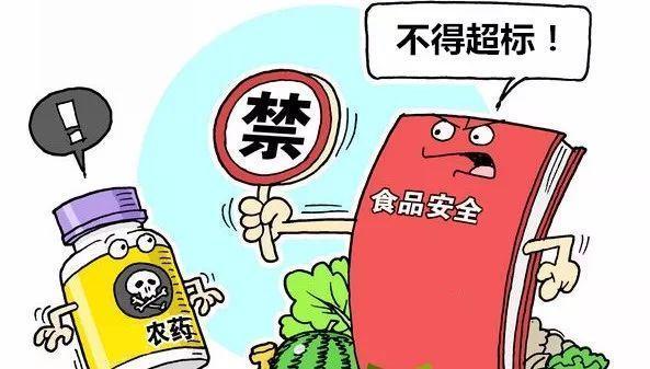 凈菜加工設備火熱原來是新版農殘標準涵蓋品種和限量數增加(圖1)