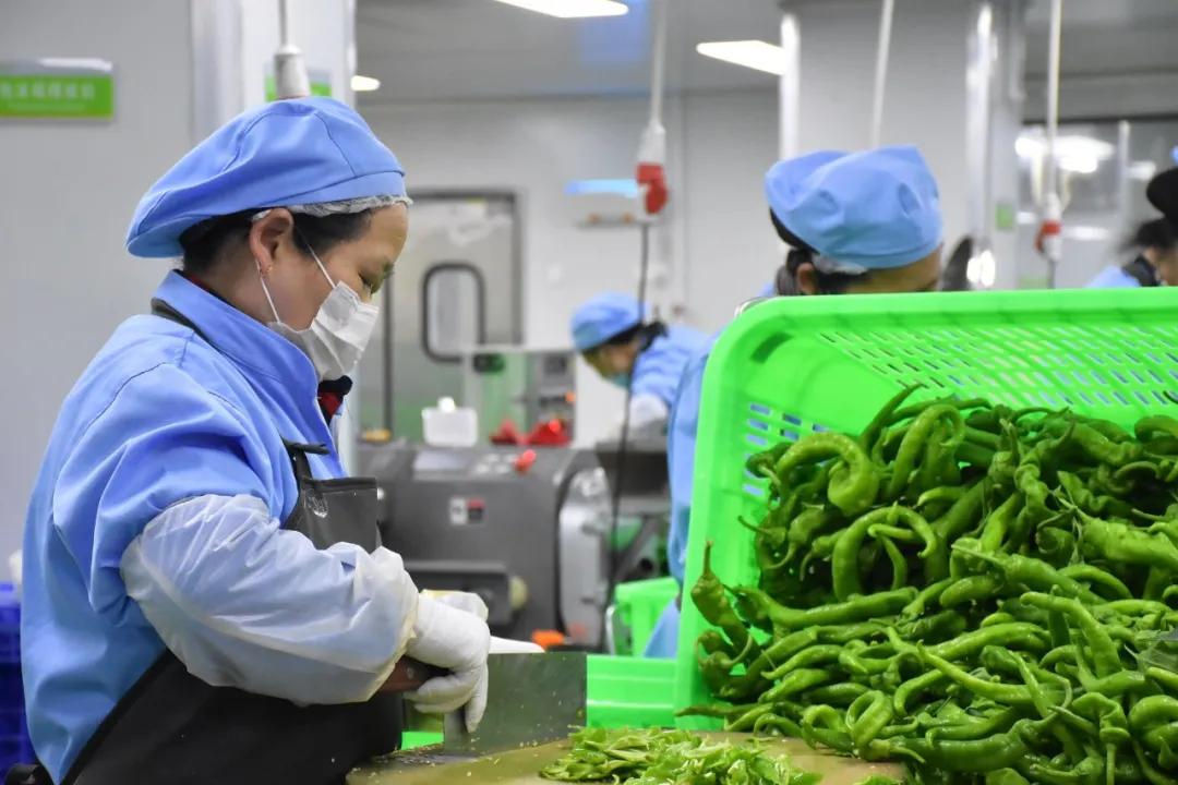 凈菜屢現食品安全問題，凈菜加工還有銷售市場嗎？工廠該如何選擇(圖1)