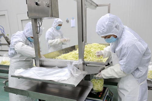 為您解讀凈菜加工生產線(圖1)