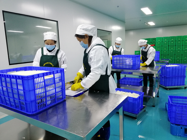 凈菜加工整套生產線 凈菜加工設備 清洗風干切制全套設備定制