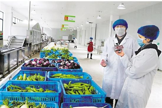 凈菜加工設備 沙拉加工生產線的加工流程是怎樣的？(圖1)